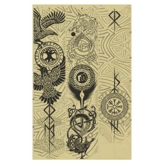 Frame Skinz Viking čierny